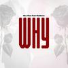 Why (feat. Platform) - Muu Flow&Platform