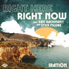 Right Here Right Now - Iration&Eric Rachmany&Stick Figure
