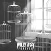 Forever - Willy Joy