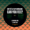 Can You Feel? (Short Edit) - Kry (IT)&Filip Grönlund
