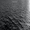 Swamp - Moesha