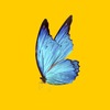Don't You - Dj Nopxel&Unknown Singer&LE SSERAFIM&BIG Naughty