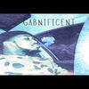 Globetrotter (Explicit) - Spoonie