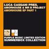 Amorhouse (Luca Cassani Remix) - Luca Cassani&Amorhouse&Mr. B