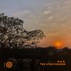 Light of Hope - B.A.X.