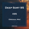 X95 - Deep Sort 95