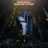 Bassline Sound - Robin Aristo