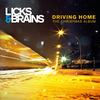 Rockin' Robin - Licks&Laura Vane&Brains