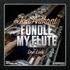 Fondle My Flute (Doc Link Remix) - Jon Anthoni&Doc Link