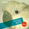 Decreet (Original Mix) - GO!DIVA