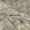 The Alias (Remix ft. The Basquiat Strings) - Border Crossing