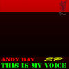 This Is My Voice - Andy Day