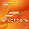 Triumph (Original Mix) - Norin&Rad&Audien