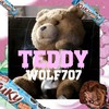 Teddy (Explicit) - Wolf707