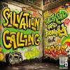 Salvation Calling (feat. Berise) - Wicked and Bonny&Berise