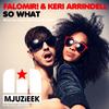 So What (Coqui Selection Remix) - Falomir!&Keri Arrindell