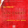 All I Need - DJ Toots&Urban Hype&Tale &Brizzo