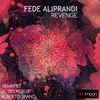 Revenge (Original Mix) - FedeAliprandi