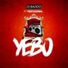 Yebo - DJ Baddo&Professional
