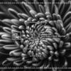 Left Outside Alone (Original Mix) - Steve Tosi