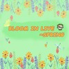 Bloom In Life Spring - Maple Jazz Band