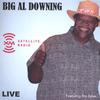 Did He Do It? (Live) - Big Al Downing