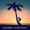 Oceanic Dream (Radio Edit) - Liquid Motion