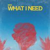 What I Need - Brdi