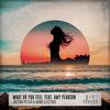 What Do You Feel(feat. Amy Pearson) (Extended Mix) - Jolyon Petch&Mind Electric&Amy Pearson