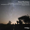 Down So Long (Dmitry Molosh Dub Mix) - Arnas D&KASTIS TORRAU&Shane Blackshaw