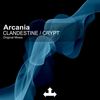 Clandestine (Original Mix) - Arcania