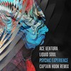 Psychic Experience (Captain Hook Remix) - Ace Ventura&Liquid Soul