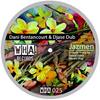 Jazmen (David Velez Remix) - Dani Bentancourt&Djase Dub