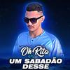 Oh Rita Vs Sabadão Desse(feat. MC GW, MC Talibã & MC Levin) (Remix|Explicit) - DJ FEER&MC GW&Mc Talibã&MC Levin