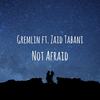 Not Afraid(feat. Zaid Tabani) - Gremlin&Zaid Tabani