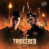 Triggered (feat. Zaybo) (Explicit) - Jayy-D&Zaybo