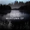 Murtuma - Jouni Koistinen
