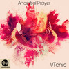 Ancestral worship (Original Mix) - VTonic