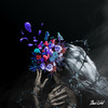 Bass Lord (Explicit) - De Xyco