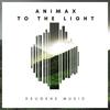 To The Light (Original Mix) - Animax