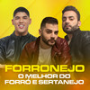 Camisa Preta (Ao Vivo) - Guilherme & Benuto