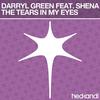 The Tears In My Eyes (Dub Mix) - Darryl Green&Shena