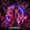 Aphrodite - Niqo Nuevo