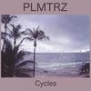Wet Forest - PLMTRZ