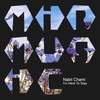 What's in My Heart - Nabil Chami