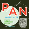 Liquid Echo (Arodes Remix) - P A N&arodes