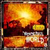 Wonderful World - 4rAx