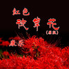 红色彼岸花 (原版) - 康乐