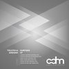 Down The Pier (Neil Parkes Remix) - Tolstoi&Andsan&Neil Parkes