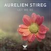 Let Me Be (Original Mix) - Aurelien Stireg